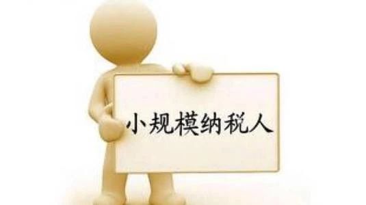 小规模纳税人如何报税?